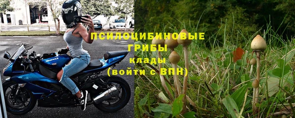 винт Алзамай