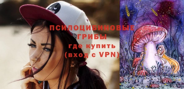 винт Алзамай