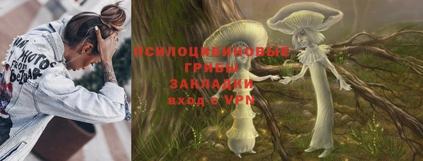 твердый Алексеевка